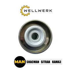 Ролик натяжителя ремня генератора WW1029003