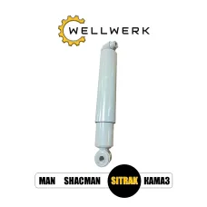 Амортизатор передний WW2905004