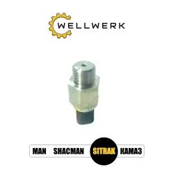 Датчик давления топлива WW3706018