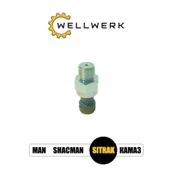 Датчик давления воздуха WW3706019