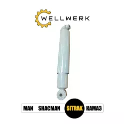 Амортизатор передний WW2905004