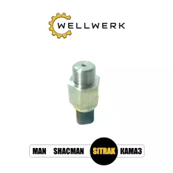 Датчик давления топлива WW3706018