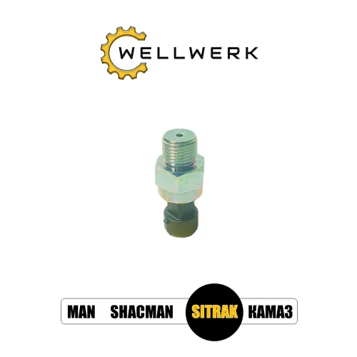 Датчик давления воздуха WW3706019