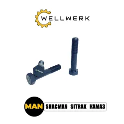 Винт установочный WW2920009