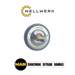 Термостат WW1306001