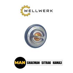 Термостат WW1306002