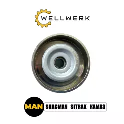 Ролик натяжителя ремня генератора WW1029003