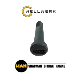 Бoлт карданного вала 06028134813