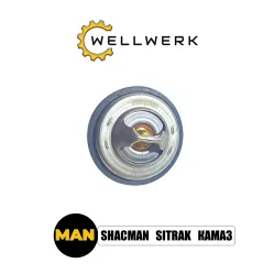 Термостат WW1306001