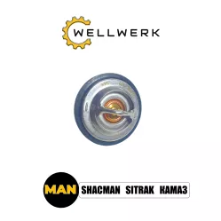 Термостат WW1306002