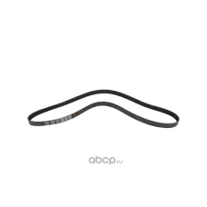 Ремень поликлиновой 8PK1920 WW1029007