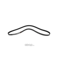 Ремень поликлиновой 8PK1920 WW1029007