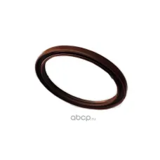 Сальник коленвала задний WW1005001