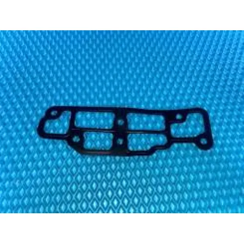 Прокладка корпуса термостата WW1306004