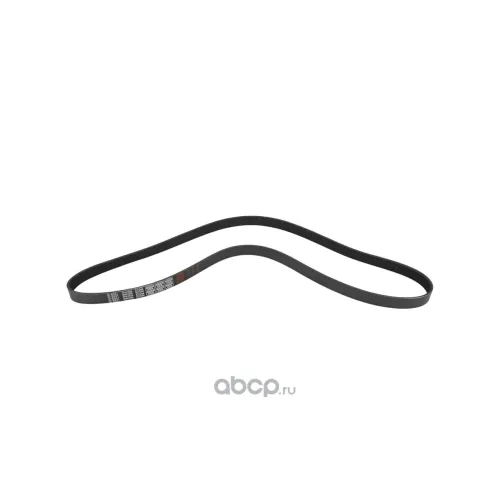 Ремень поликлиновой 8PK1920 WW1029007