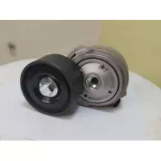 Натяжитель ремня WW1029008