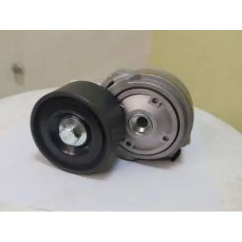 Натяжитель ремня WW1029008