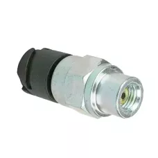 Датчик давления воздуха WW3706015