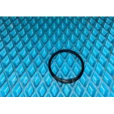 Кольцо пыльника суппорта WW3502020